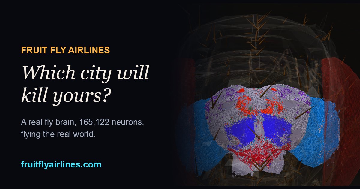 A fruit fly's brain, every neuron coloured by region: vision, smell, memory and navigation.